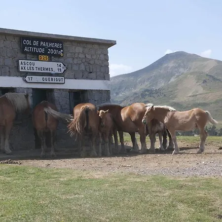 Domaine De Cousseres Gæstehus Saint-Paul-de-Fenouillet