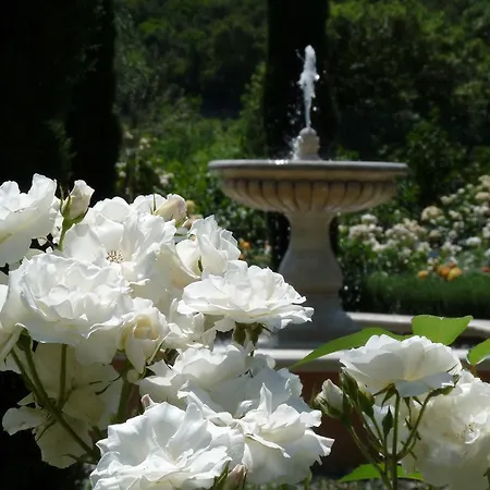 Domaine De Cousseres Saint-Paul-de-Fenouillet