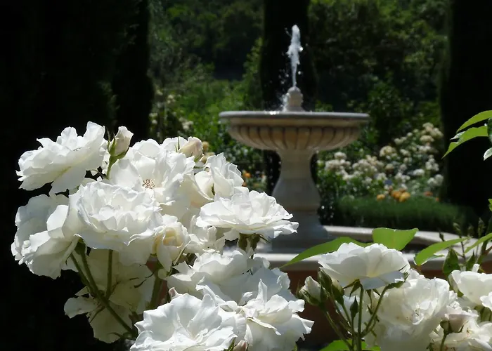 Domaine De Cousseres Saint-Paul-de-Fenouillet